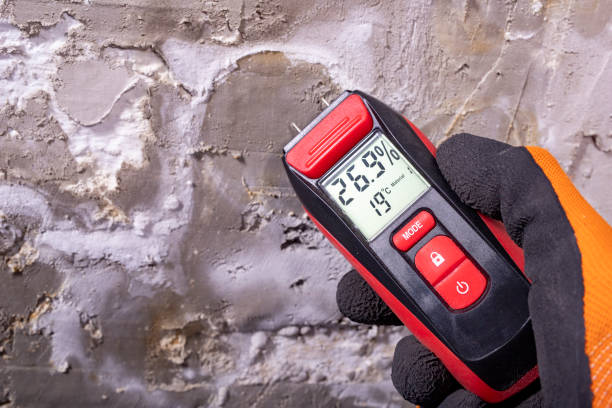 Best Mold Cleaning Services  in Buckhannon, WV